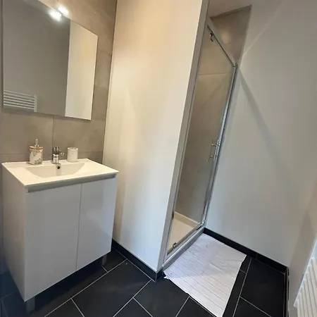 Cote Pyrenees - 9 Min Des Sanctuaires - Moderne & Equipe - Jusqu'a 4 Couchages * 卢德