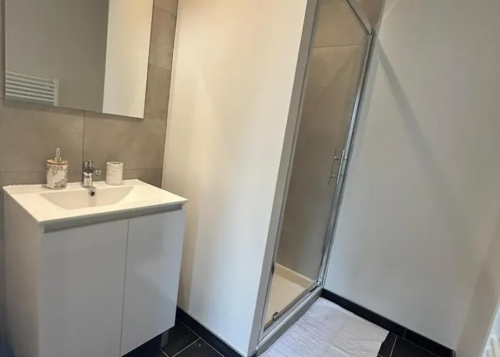 Cote Pyrenees - 9 Min Des Sanctuaires - Moderne & Equipe - Jusqu'a 4 Couchages * Lourdes